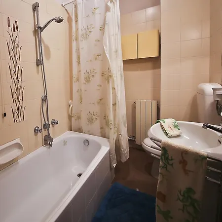 Terrace Apartment Viareggio